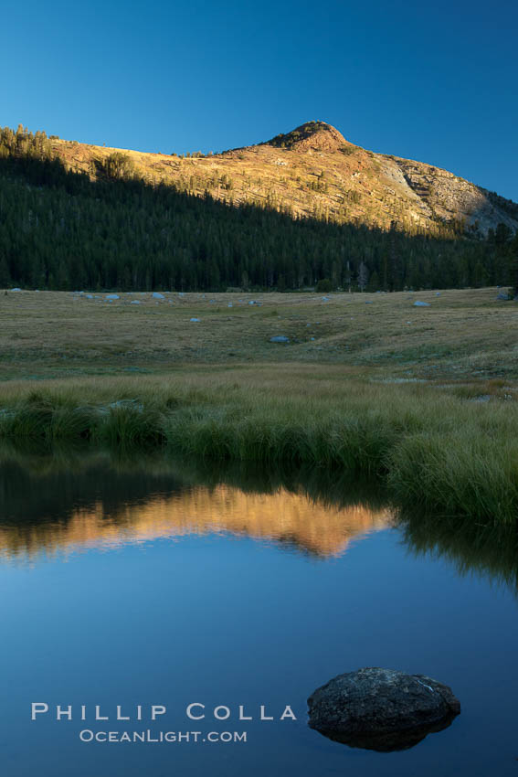 A Sierra Nevada Peak reflected in small tarn (pond), near Tioga Pass. Yosemite National Park, California, USA, natural history stock photograph, photo id 25760