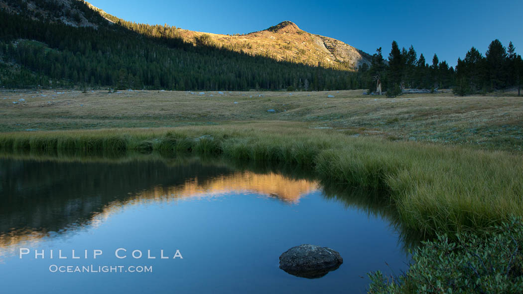 A Sierra Nevada Peak reflected in small tarn (pond), near Tioga Pass. Yosemite National Park, California, USA, natural history stock photograph, photo id 25784