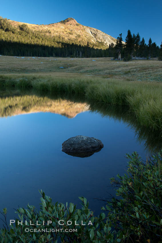 A Sierra Nevada Peak reflected in small tarn (pond), near Tioga Pass. Yosemite National Park, California, USA, natural history stock photograph, photo id 25785