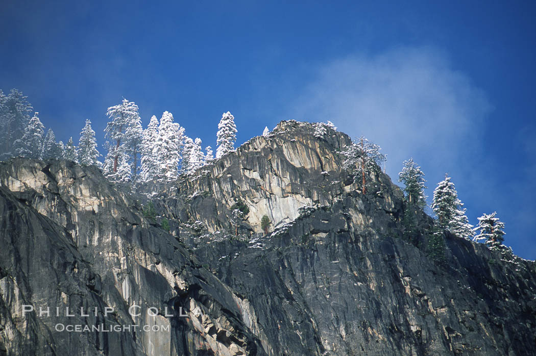 Yosemite valley walls, trees and snow. Yosemite National Park, California, USA, natural history stock photograph, photo id 05410