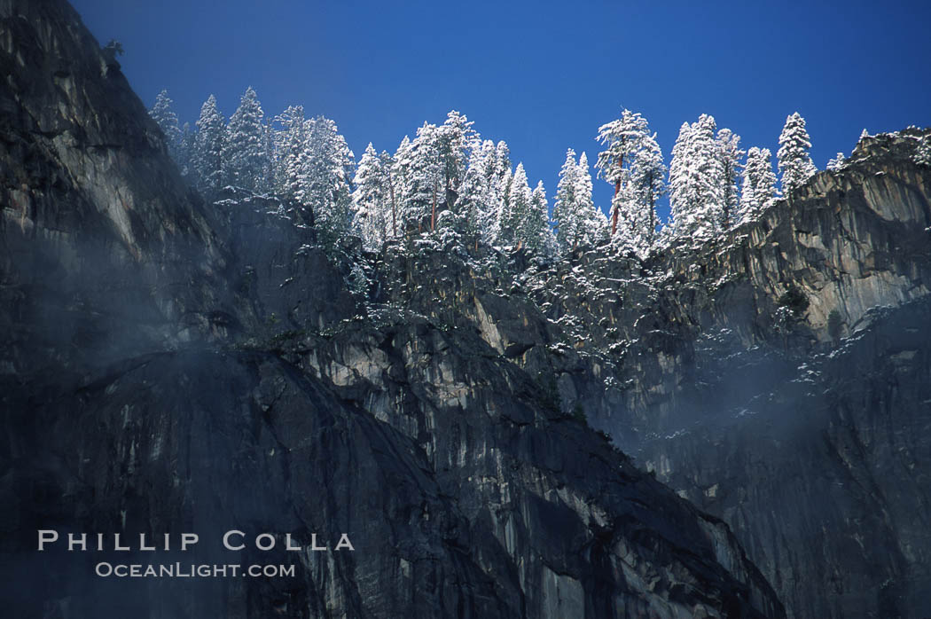 Yosemite valley walls, trees and snow. Yosemite National Park, California, USA, natural history stock photograph, photo id 05411