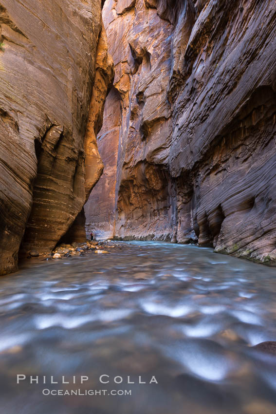 The Virgin River Narrows, where the Virgin River has carved deep, narrow canyons through the Zion National Park sandstone, creating one of the finest hikes in the world. Utah, USA, natural history stock photograph, photo id 32618