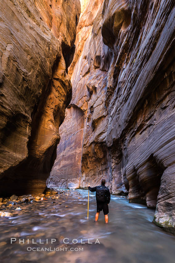 The Virgin River Narrows, where the Virgin River has carved deep, narrow canyons through the Zion National Park sandstone, creating one of the finest hikes in the world. Utah, USA, natural history stock photograph, photo id 32616