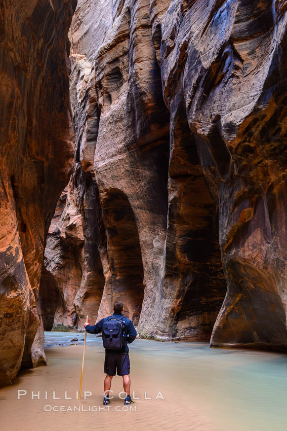 The Virgin River Narrows, where the Virgin River has carved deep, narrow canyons through the Zion National Park sandstone, creating one of the finest hikes in the world. Utah, USA, natural history stock photograph, photo id 32624