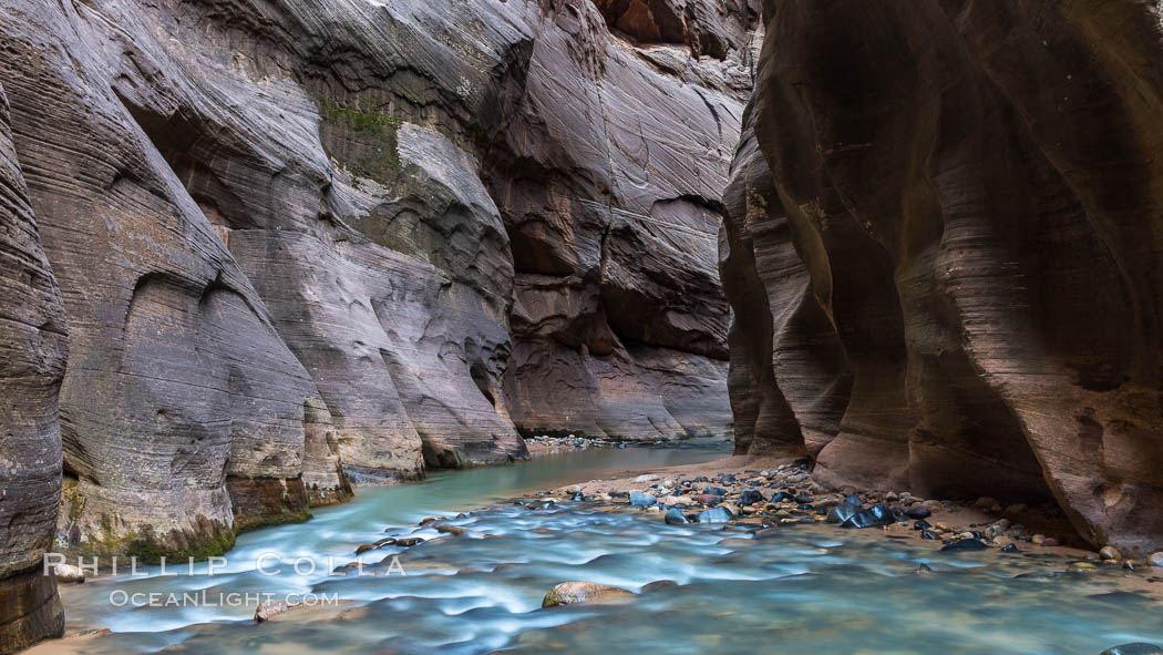 The Virgin River Narrows, where the Virgin River has carved deep, narrow canyons through the Zion National Park sandstone, creating one of the finest hikes in the world. Utah, USA, natural history stock photograph, photo id 32628