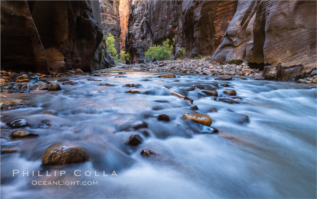 The Virgin River Narrows, where the Virgin River has carved deep, narrow canyons through the Zion National Park sandstone, creating one of the finest hikes in the world. Utah, USA, natural history stock photograph, photo id 32619