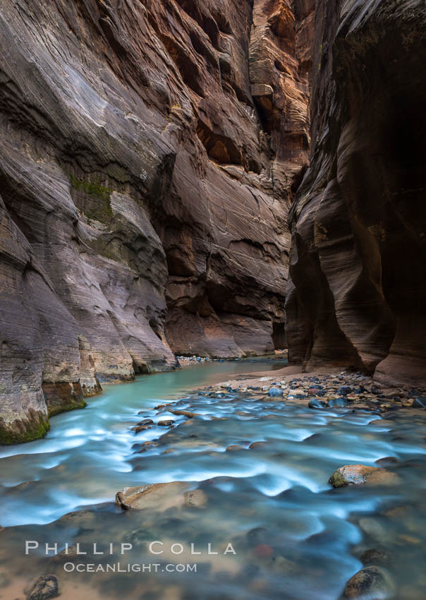 The Virgin River Narrows, where the Virgin River has carved deep, narrow canyons through the Zion National Park sandstone, creating one of the finest hikes in the world. Utah, USA, natural history stock photograph, photo id 32629