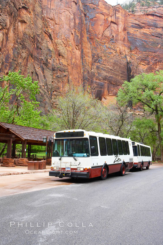 Shuttle buses move visitors throughout the upper Zion Canyon from April through September. Zion National Park, Utah, USA, natural history stock photograph, photo id 12494