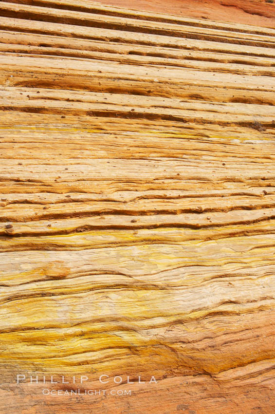 Navajo sandstone forms the cliffs and walls of Zion National Park. The sandstone reaches a thickness of 2300 feet and consists of ancient cemented desert sand dunes. Horizontal lines, commonly called crossbedding, represent layers of wind-blown sand that built up into sand dunes. These dunes were then buried, and the sand grains glued together by calcite and iron oxide to form sandstone. Utah, USA, natural history stock photograph, photo id 12518