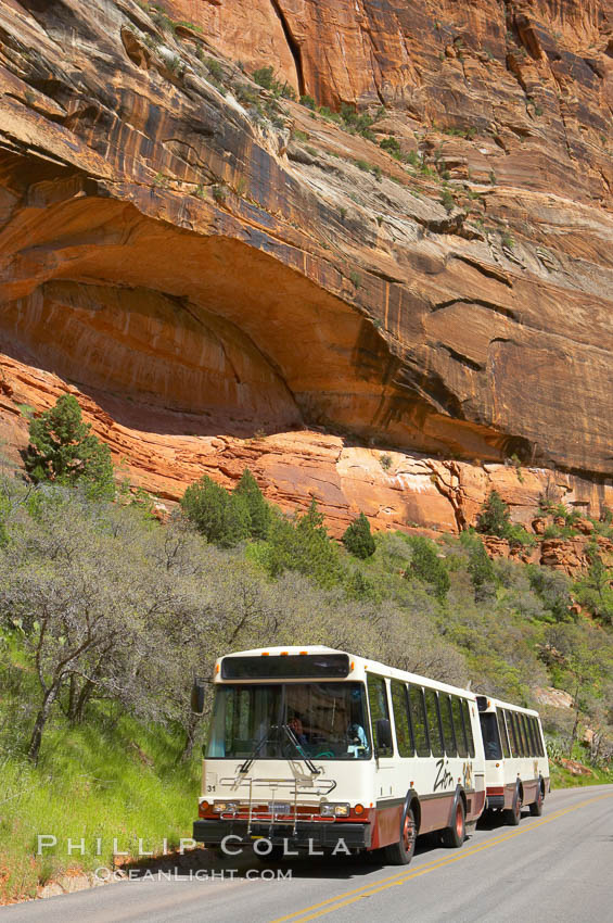 Shuttle buses move visitors throughout the upper Zion Canyon from April through September. Zion National Park, Utah, USA, natural history stock photograph, photo id 12492