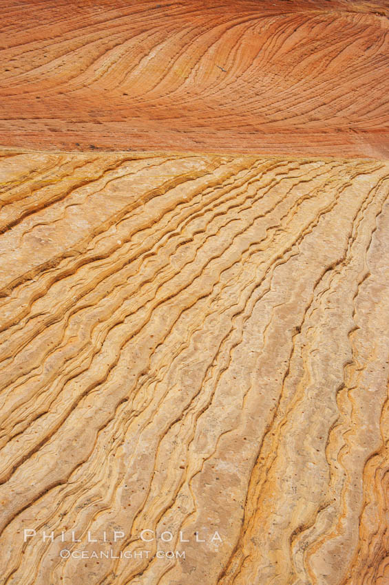 Navajo sandstone forms the cliffs and walls of Zion National Park. The sandstone reaches a thickness of 2300 feet and consists of ancient cemented desert sand dunes. Horizontal lines, commonly called crossbedding, represent layers of wind-blown sand that built up into sand dunes. These dunes were then buried, and the sand grains glued together by calcite and iron oxide to form sandstone. Utah, USA, natural history stock photograph, photo id 12515