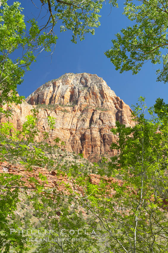 Red sandstone peaks above the Parus trail in Zion National Park. Utah, USA, natural history stock photograph, photo id 12485