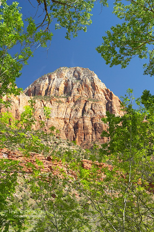Red sandstone peaks above the Parus trail in Zion National Park., natural history stock photograph, photo id 12485