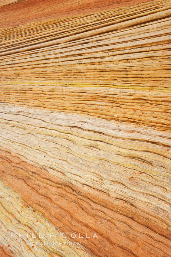 Navajo sandstone forms the cliffs and walls of Zion National Park. The sandstone reaches a thickness of 2300 feet and consists of ancient cemented desert sand dunes. Horizontal lines, commonly called crossbedding, represent layers of wind-blown sand that built up into sand dunes. These dunes were then buried, and the sand grains glued together by calcite and iron oxide to form sandstone. Utah, USA, natural history stock photograph, photo id 12517