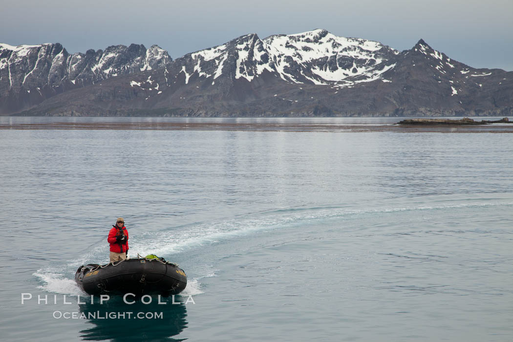 Zodiac inflatable skiff boat, with mountains of South Georgia Island, on the Bay of Isles. Salisbury Plain, natural history stock photograph, photo id 24461